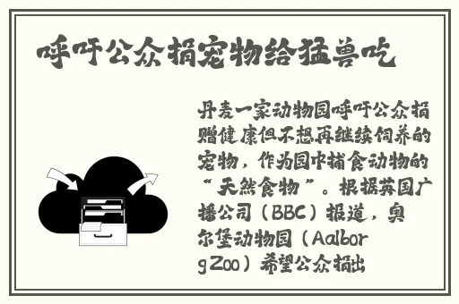 你懂得网